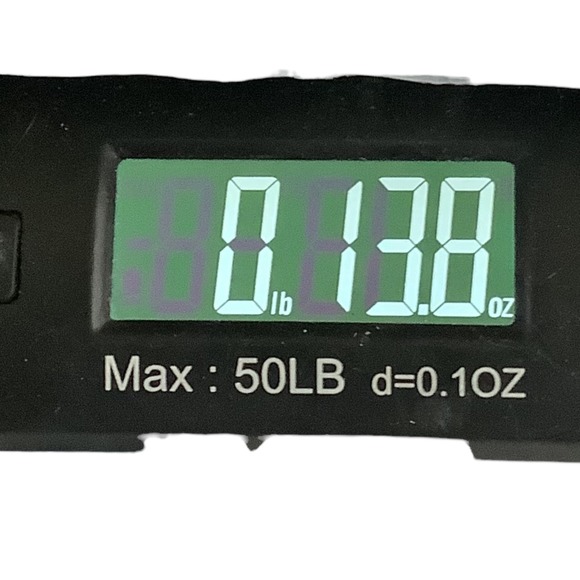 Champion Women Black Athletic Jogger Sweatpants Size L C Logo Drawstring - Picture 16 of 16